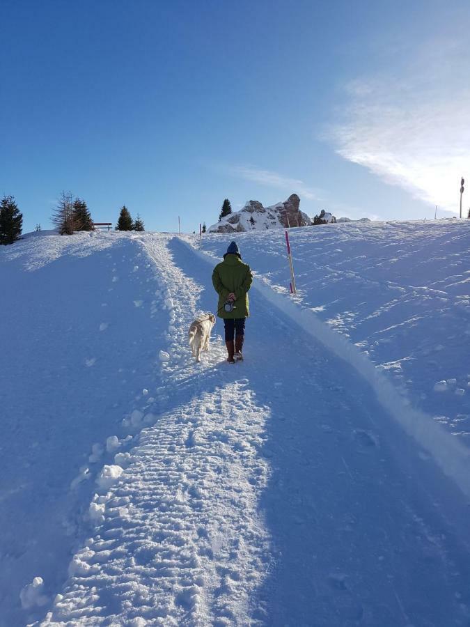 Pension Walkerbach เลคอัมอาร์ลแบร์ก ภายนอก รูปภาพ